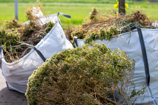 Best Retail Junk Removal  in Susitna North, AK
